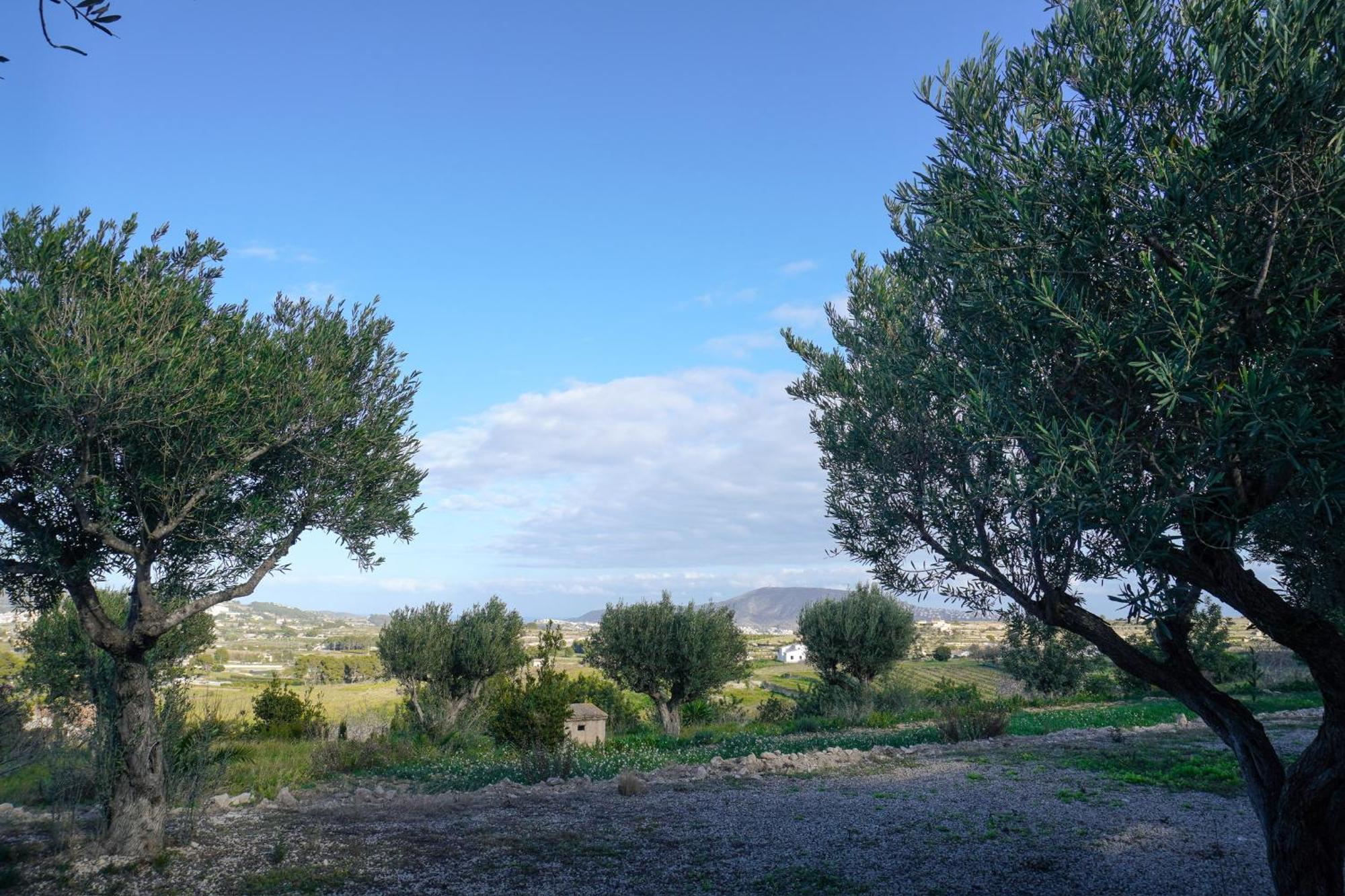בניסה Hotel Finca Olivar מראה חיצוני תמונה