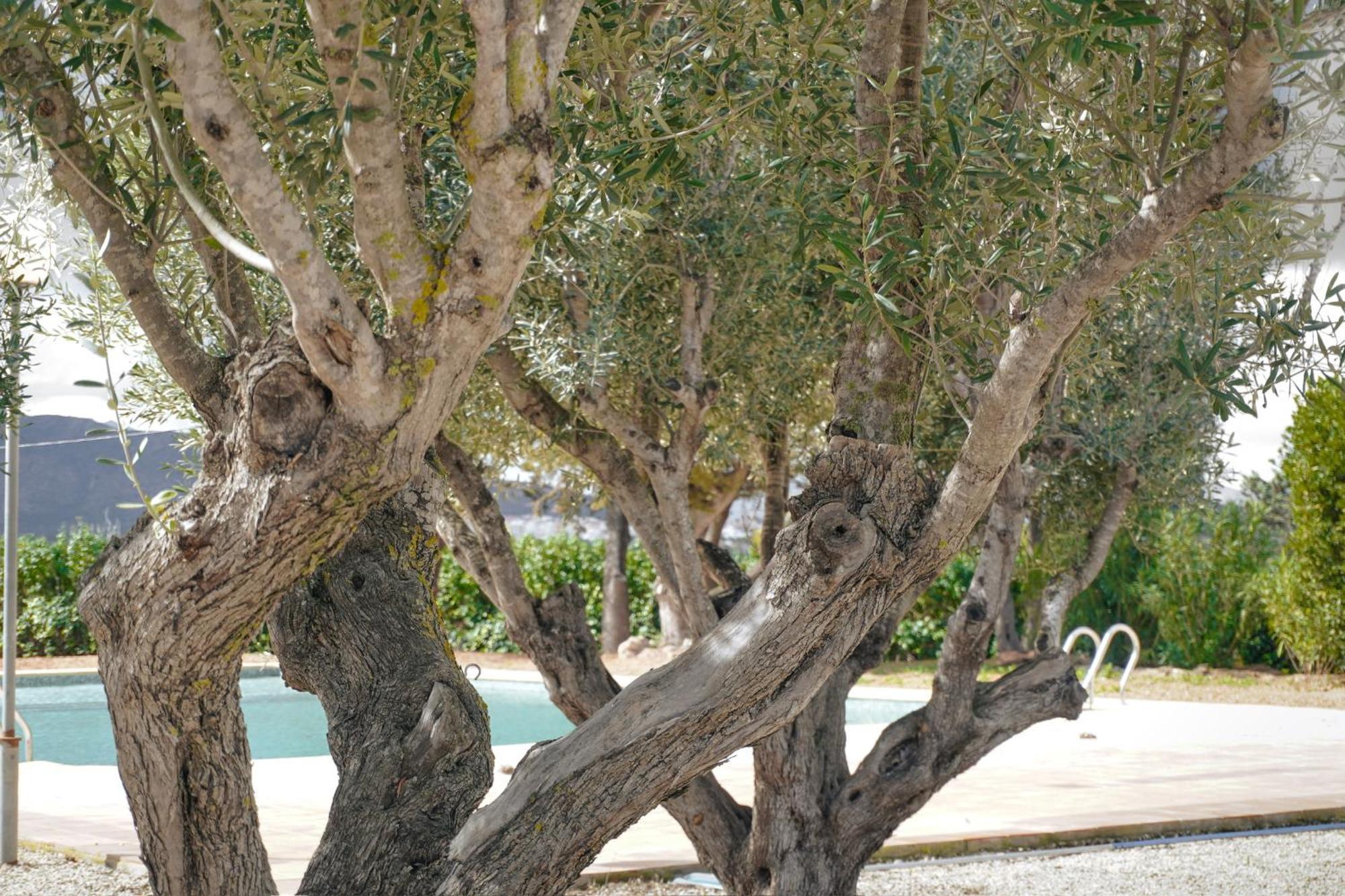 בניסה Hotel Finca Olivar מראה חיצוני תמונה